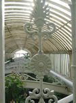 15385 View over tree tops in Palm house.jpg